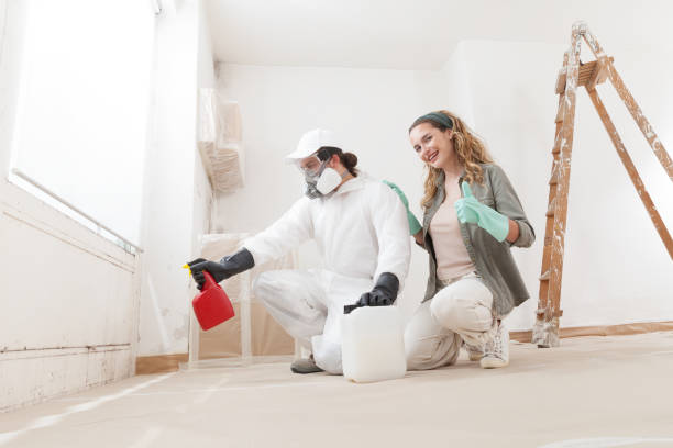 Best Industrial Mold Remediation  in Winchester, NV